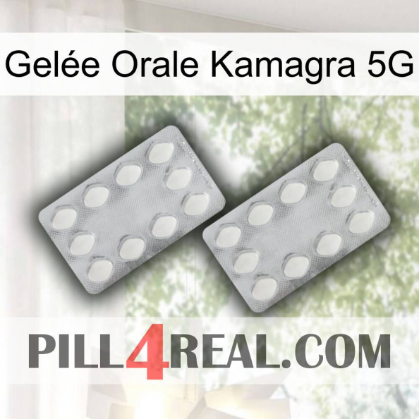 Gelée Orale Kamagra 5G 17